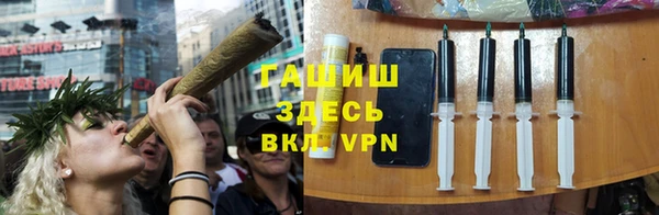 стаф Новокубанск