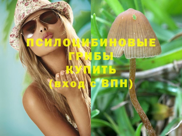 мет Нефтегорск
