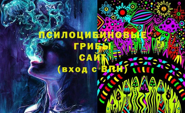 стаф Новокубанск