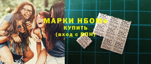 стаф Новокубанск
