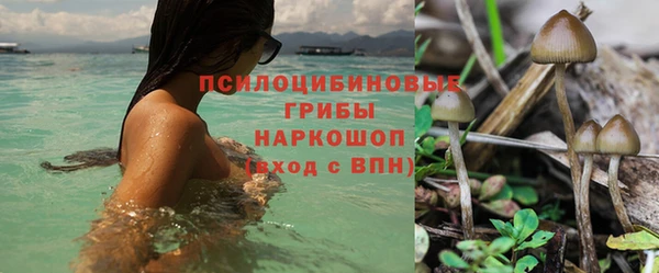 mdma Новодвинск