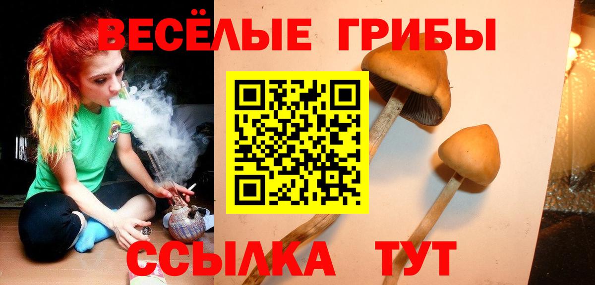 Луга  Галлюциногенные грибы MAGIC MUSHROOMS  Вход с VPN 